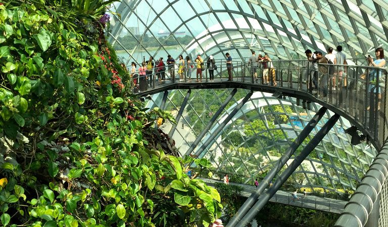 Garden by the bay Singapore – Highlighting nature diversity  